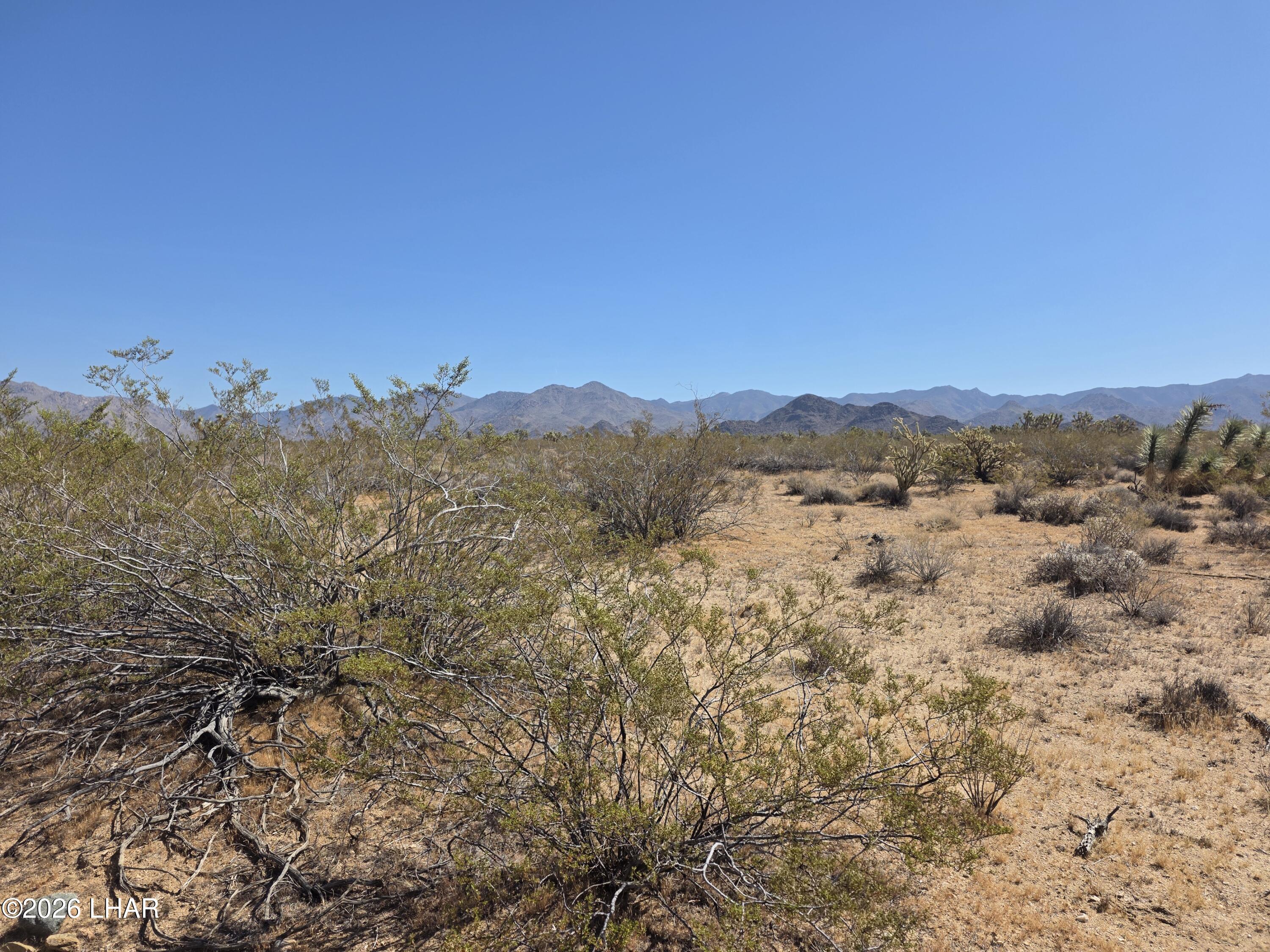 171-172 South Nash Road Yucca, AZ 86438 - Photo 4 of 11 a view of mountain with trees in background