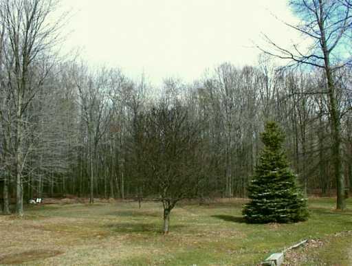 92 Strausser Road Jackson Center, PA 16133 - Photo 8 of 8