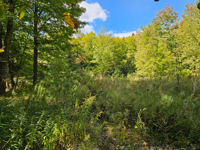 $35,000 | 22 West Freeman Road, Strong, ME 04983