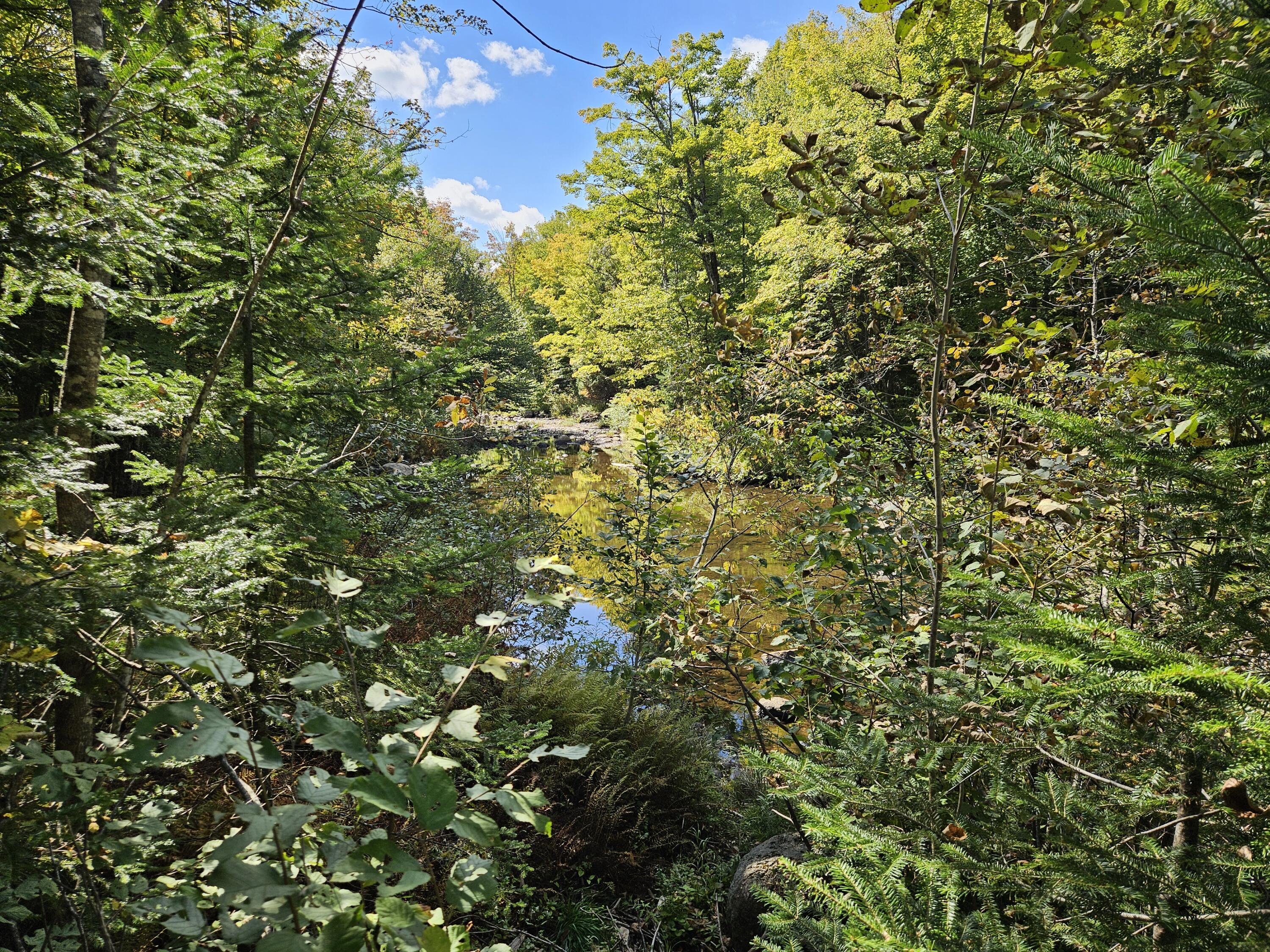 22 West Freeman Road Strong, ME 04983 - Photo 3 of 20 22 West Freeman Road