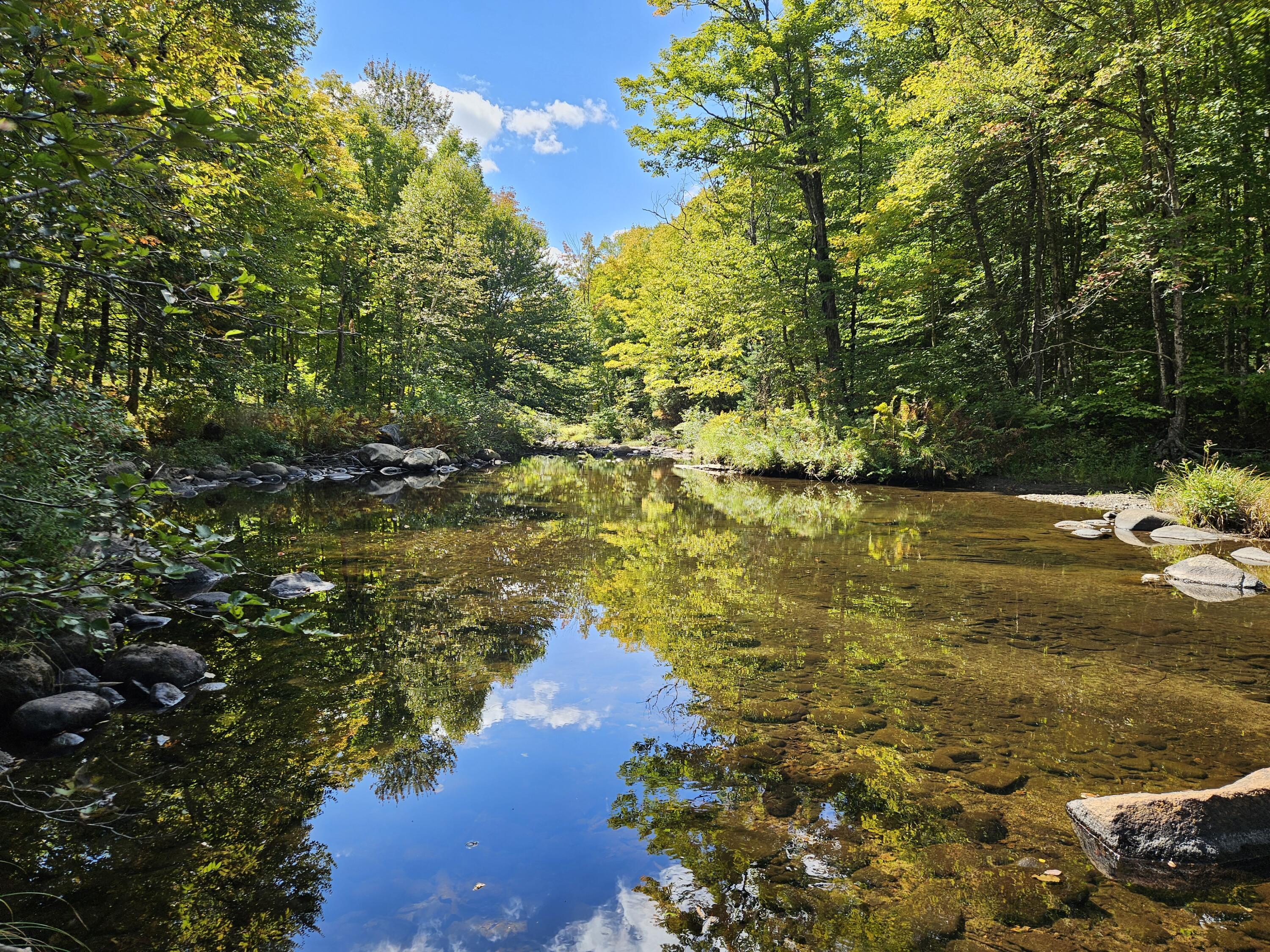 22 West Freeman Road Strong, ME 04983 - Photo 4 of 20 22 West Freeman Road