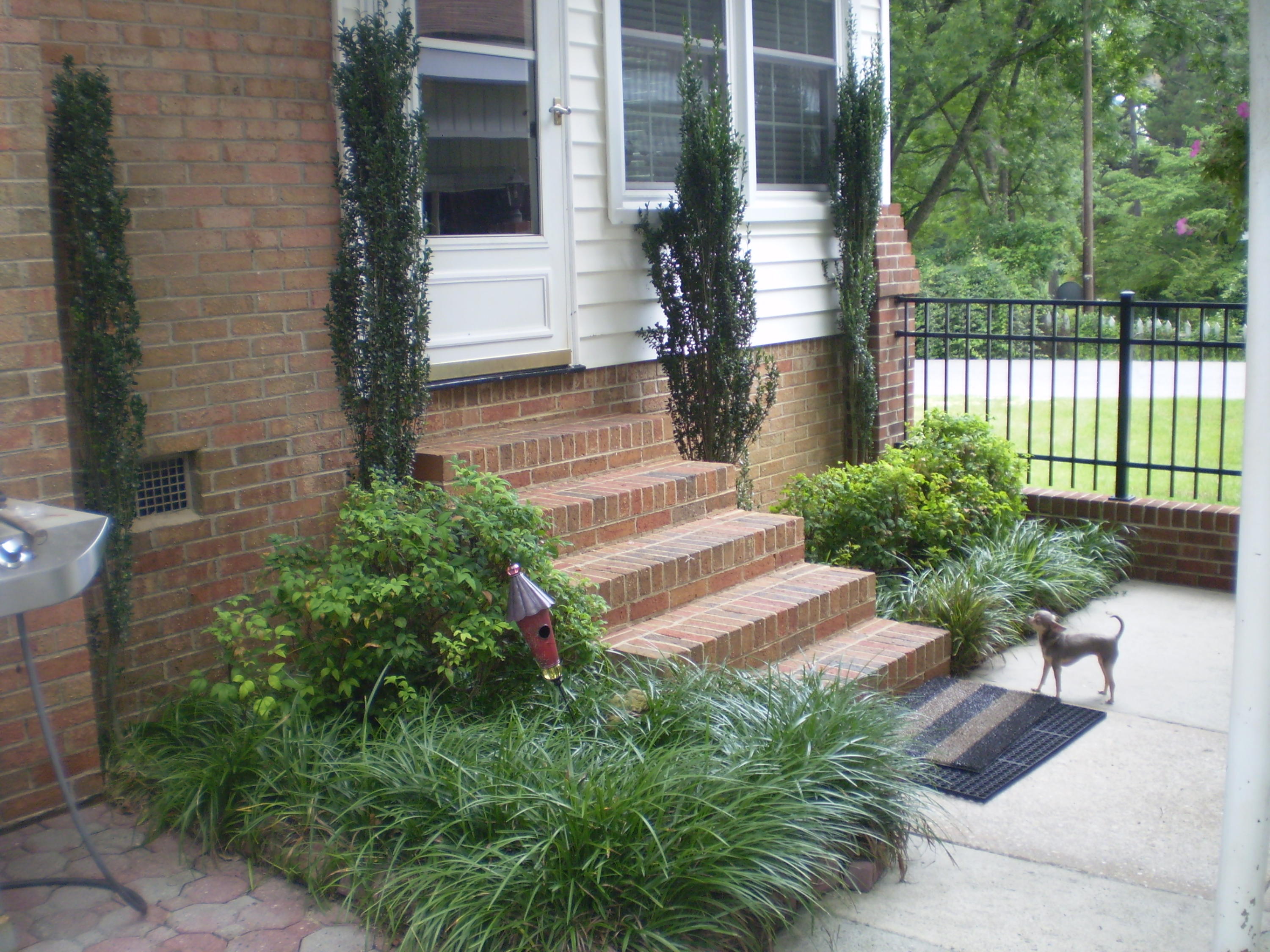 637 Richmond Road Rockingham, NC 28379 - Photo 26 of 29 Back door