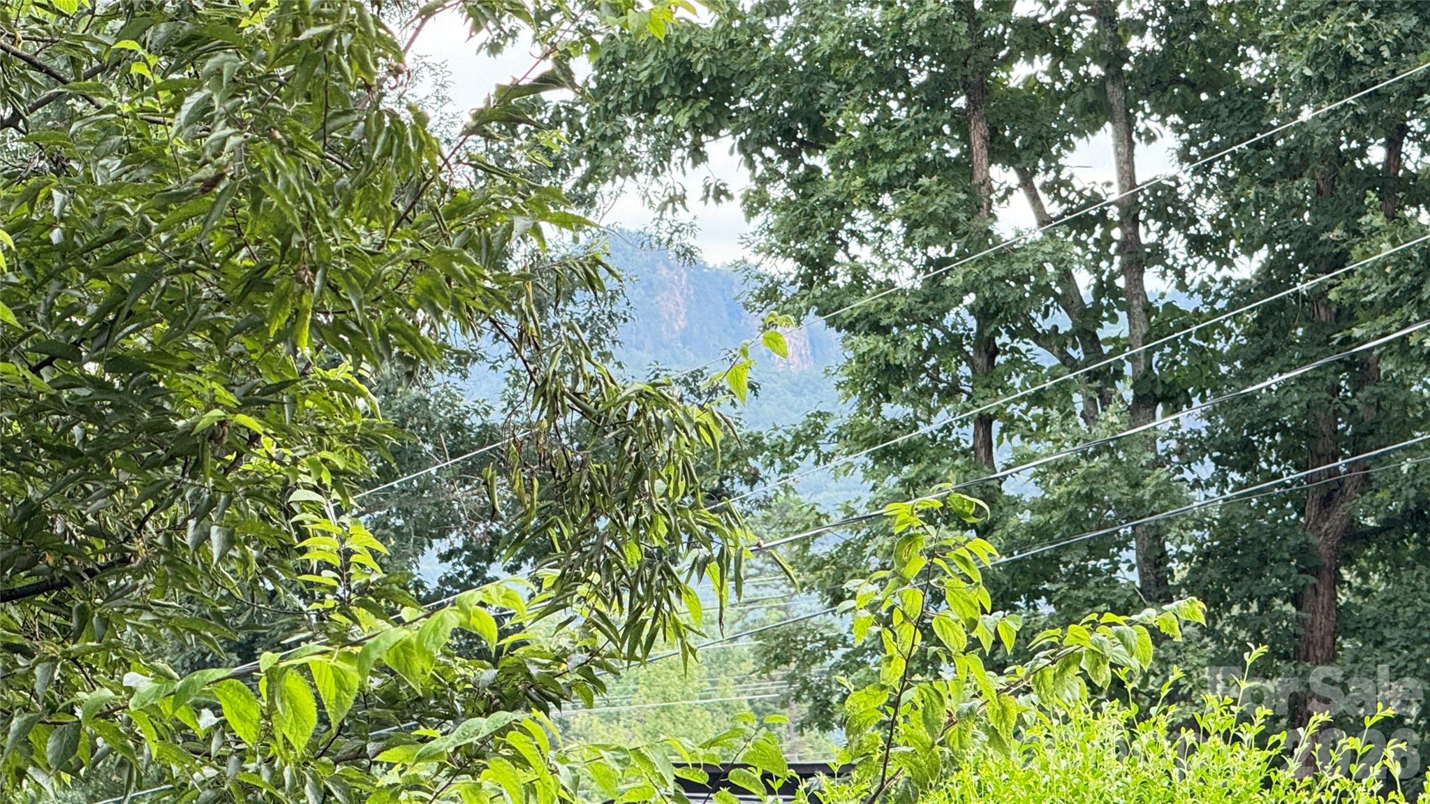 114 Rustic Hills Circle Bessemer City, NC 28016 - Photo 47 of 48