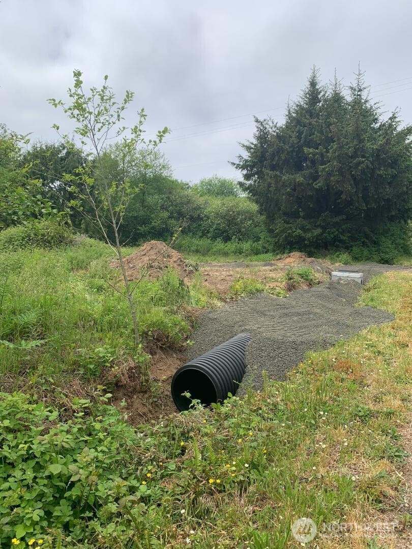 19 3rd Street Pacific Beach, WA 98571 - Photo 2 of 3