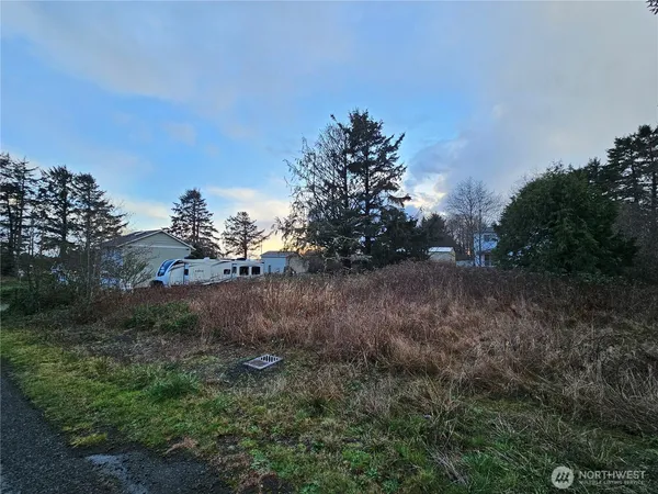 a view of a dry yard