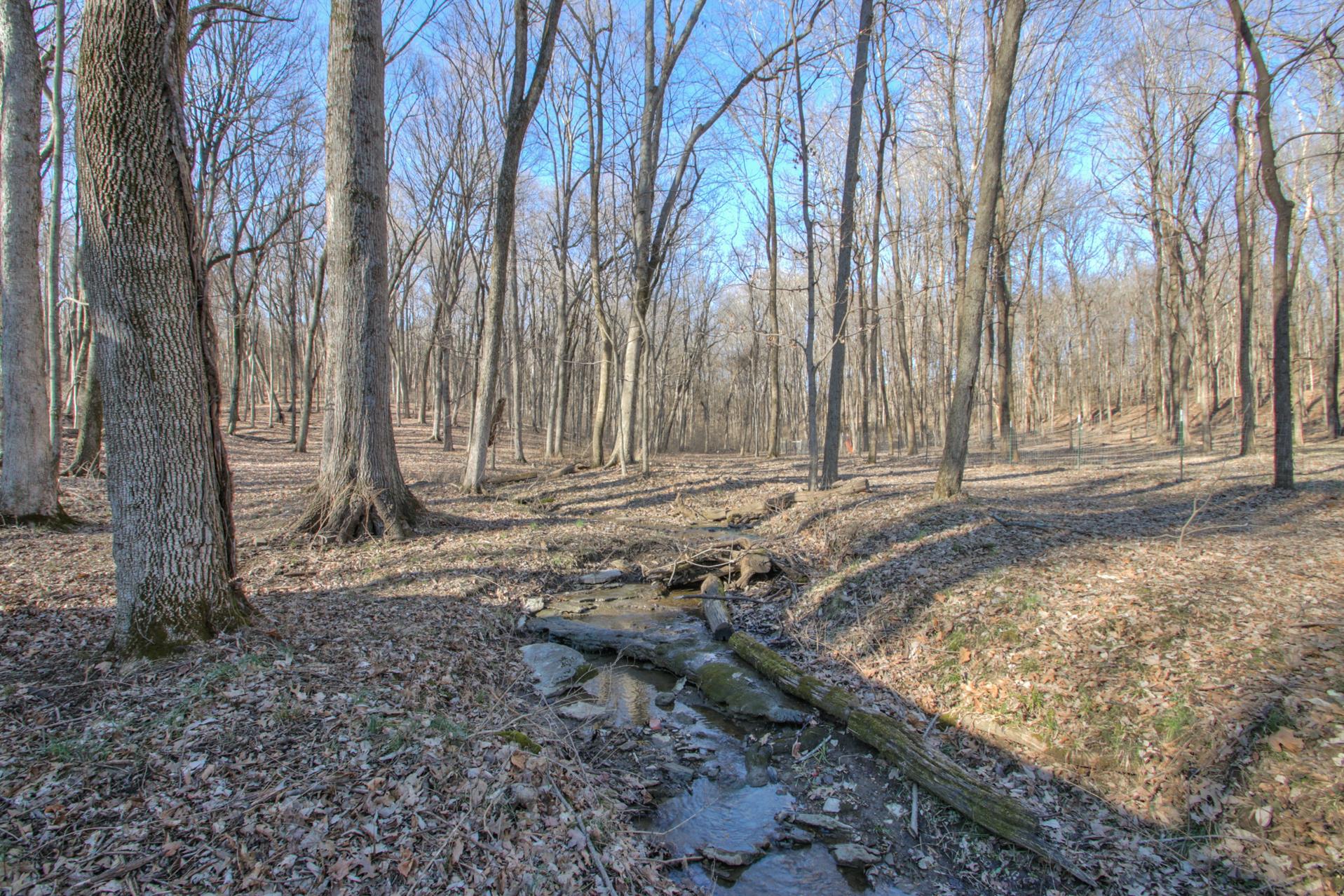 175 Holloway Road Lebanon, TN 37090 - Photo 28 of 30 a view of a backyard with large trees