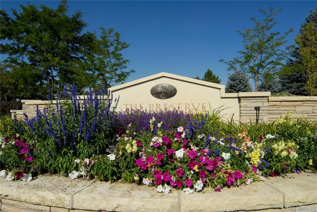 a view of a flower in a garden