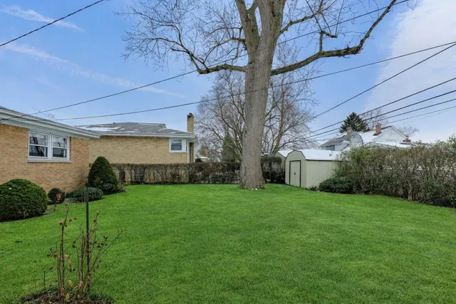 a view of a backyard with plants and large trees