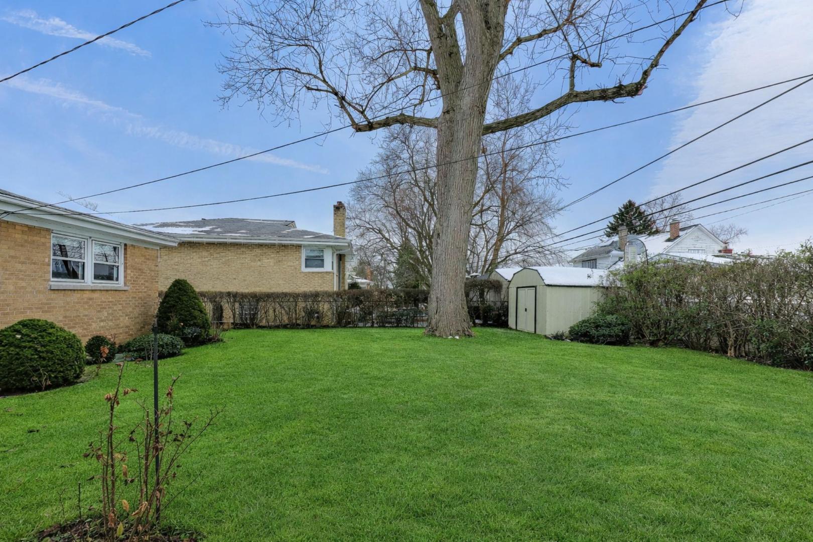 820 North Delphia Avenue Park Ridge, IL 60068 - Photo 20 of 24 a view of a backyard with plants and large trees