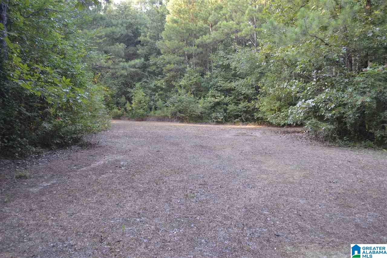 1980 Roy Webb Cutoff Road Piedmont, AL 36272 - Photo 43 of 47