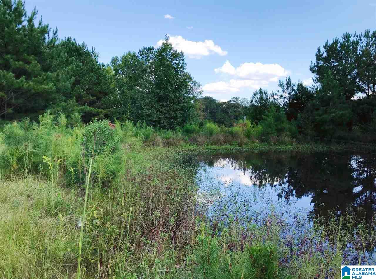 1525 Chelsea Road, Unit 1525 Columbiana, AL 35051 - Photo 14 of 33