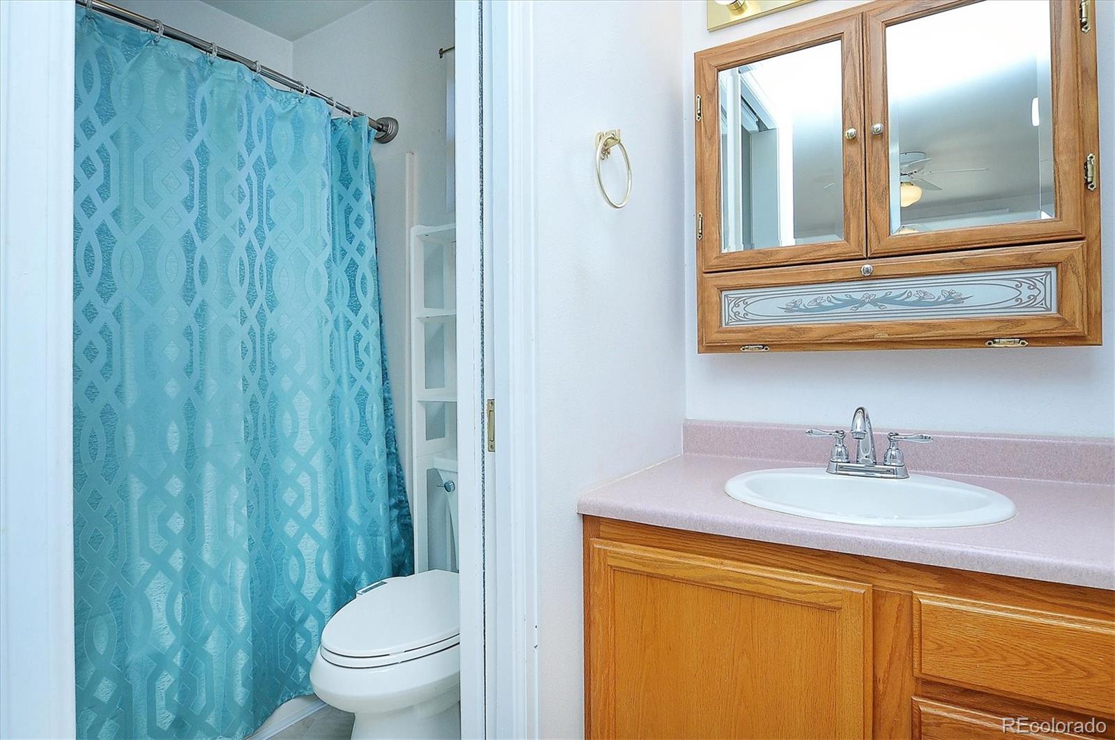 29 Rex Circle Salida, CO 81201 - Photo 21 of 31 a bathroom with a sink a toilet and a mirror