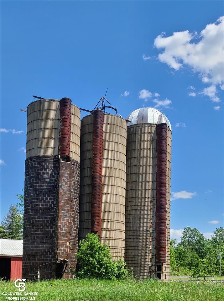 8331 Mason Road Yale, MI 48097 - Photo 58 of 67 Silos