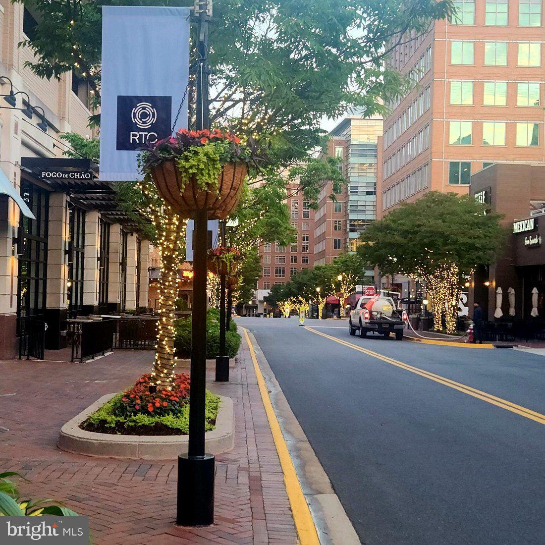 11247 Beaker Street Reston, VA 20190 - Photo 51 of 54 Charming streetscape with vibrant blooms.