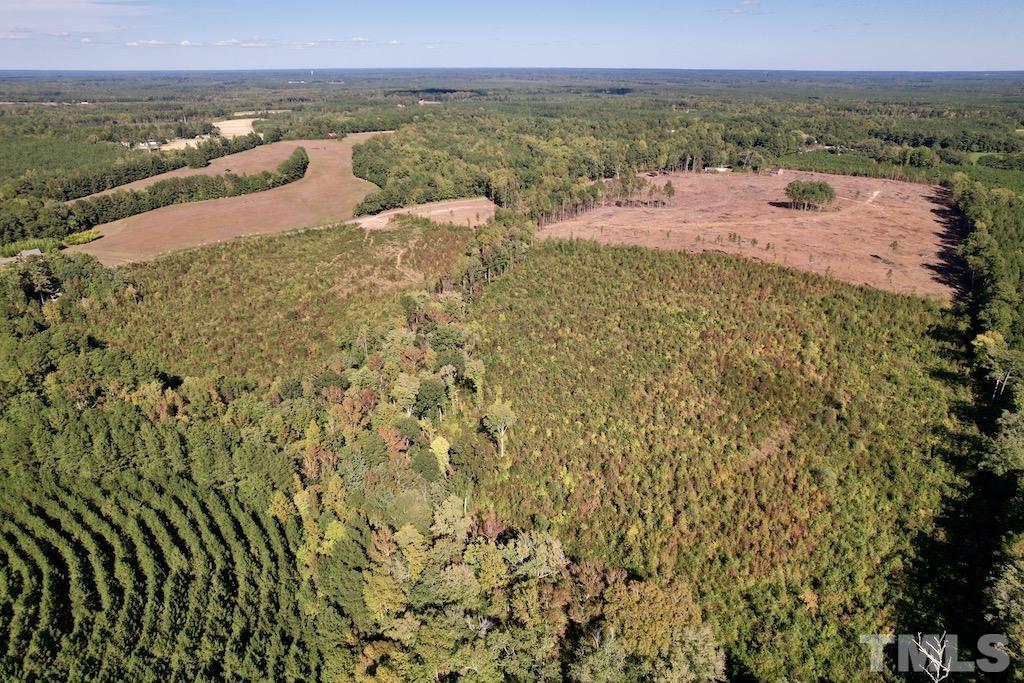 Off Off Warrenton Embro Road Macon, NC 27551 - Photo 8 of 19 Gallery Image 8