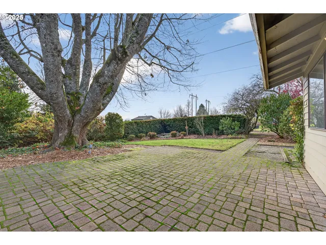 a view of a yard with a tree