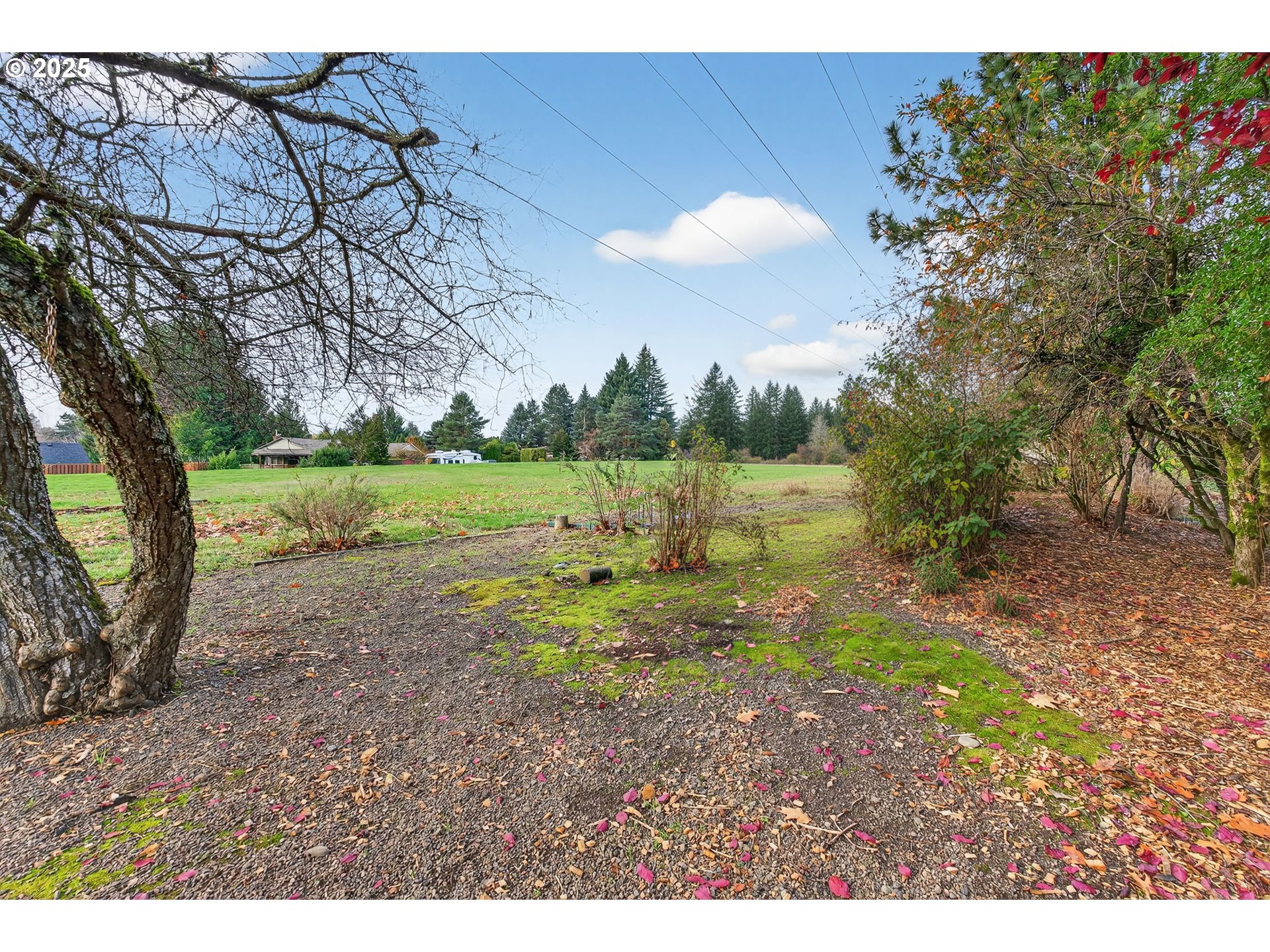 14595 Southwest 144th Avenue Portland, OR 97224 - Photo 41 of 43 a view of a yard with a tree