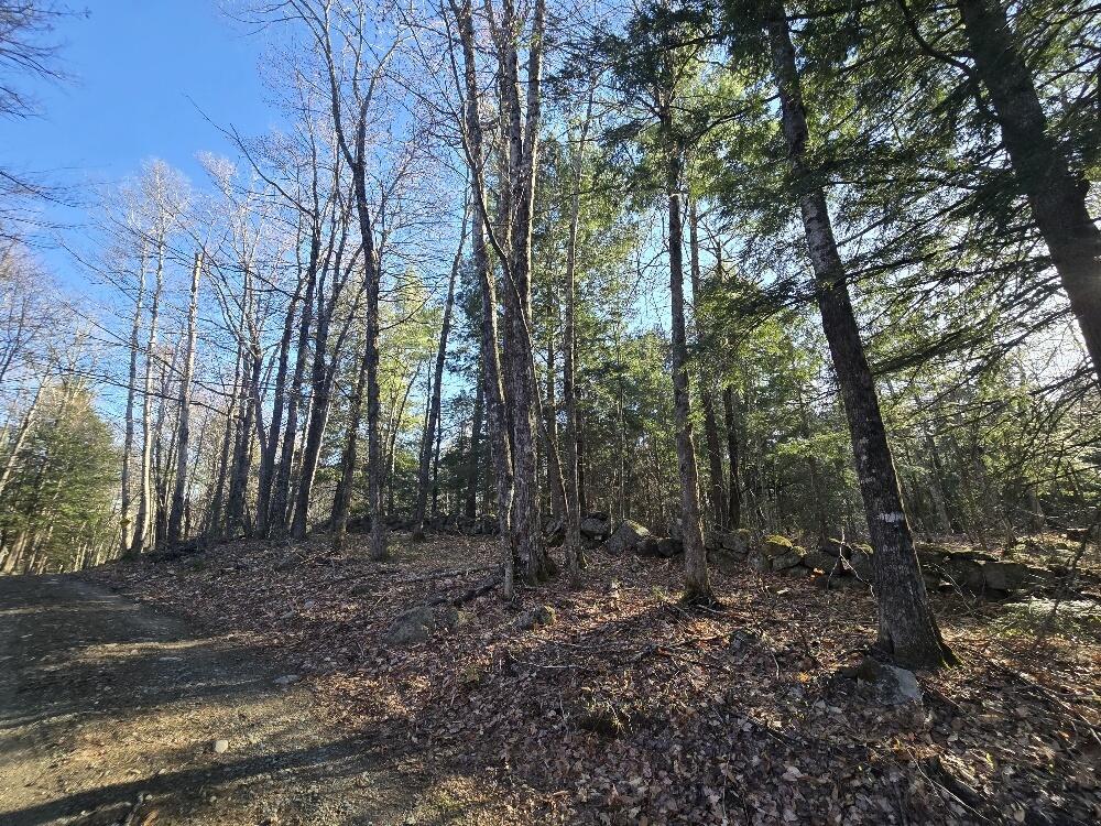 Lot 9-12 Smith Road New Sharon, ME 04955 - Photo 11 of 19 20250428_174806_resized_1