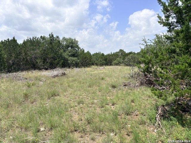 128 Coneflower Drive Spring Branch, TX 78070 - Photo 10 of 27
