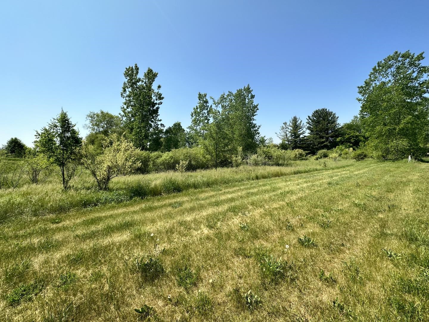 Tbd Tbd Kali, Unit 5 Alma, MI 48801 - Photo 10 of 21