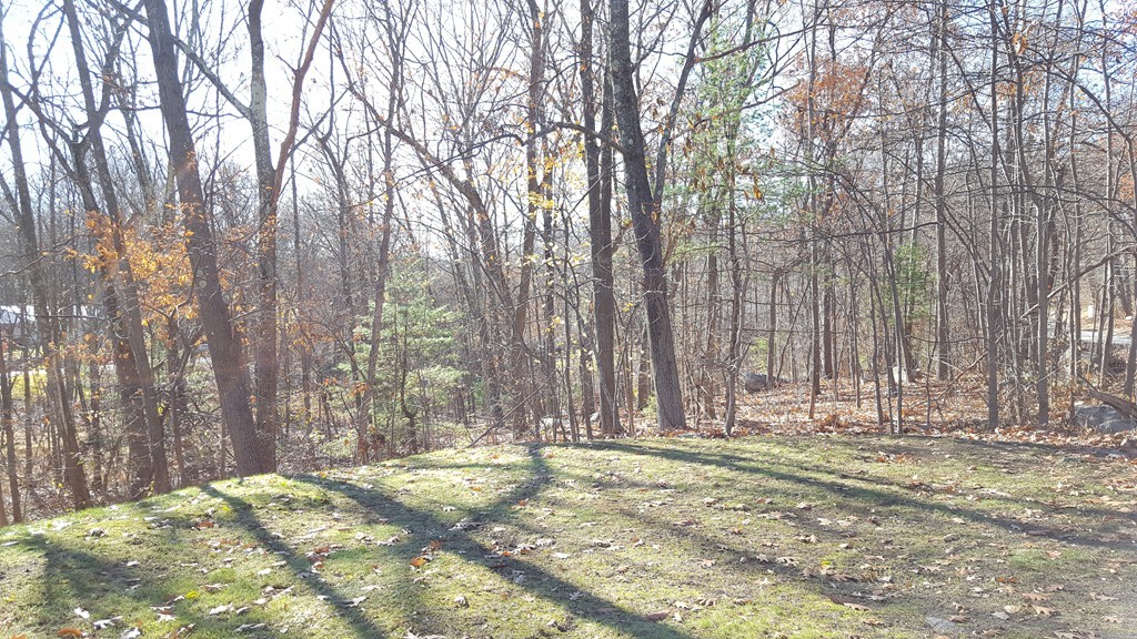 0 Acton Road Chelmsford, MA 01824 - Photo 2 of 4 Gallery Image 2