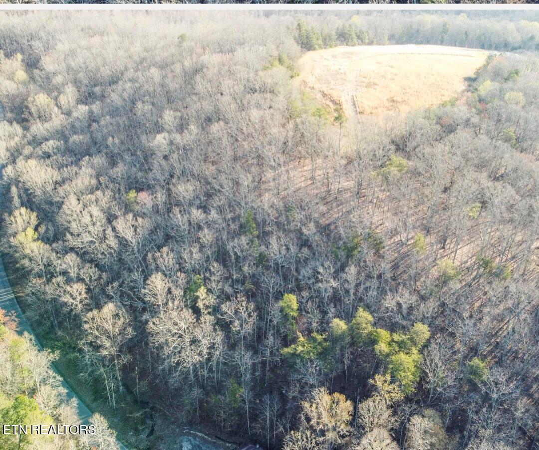 9.61 Ac Road Loudon, TN 37774 - Photo 8 of 10 1000027090