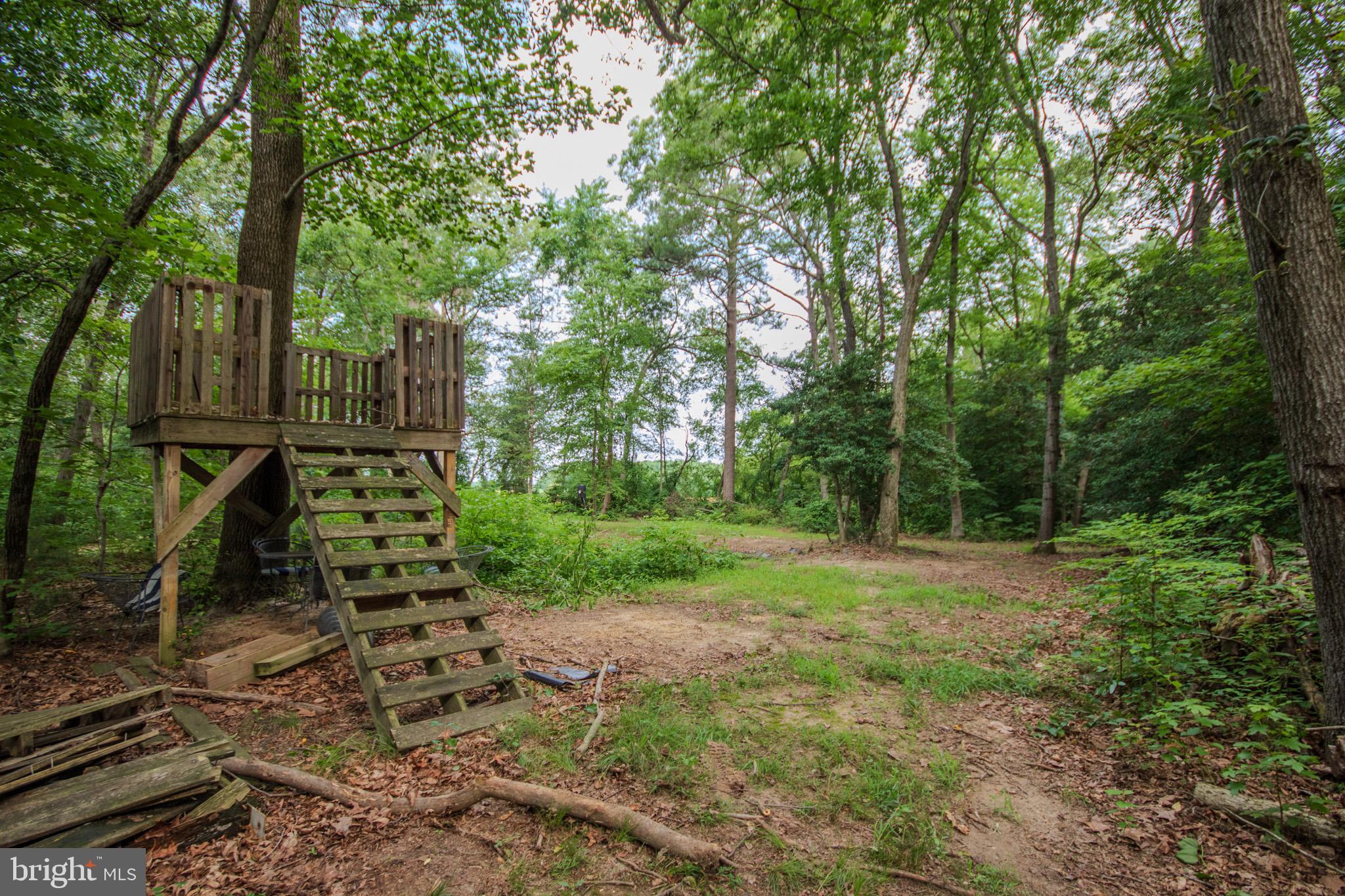 4856 Skinners Run Road Hurlock, MD 21643 - Photo 46 of 52 Gallery Image 46
