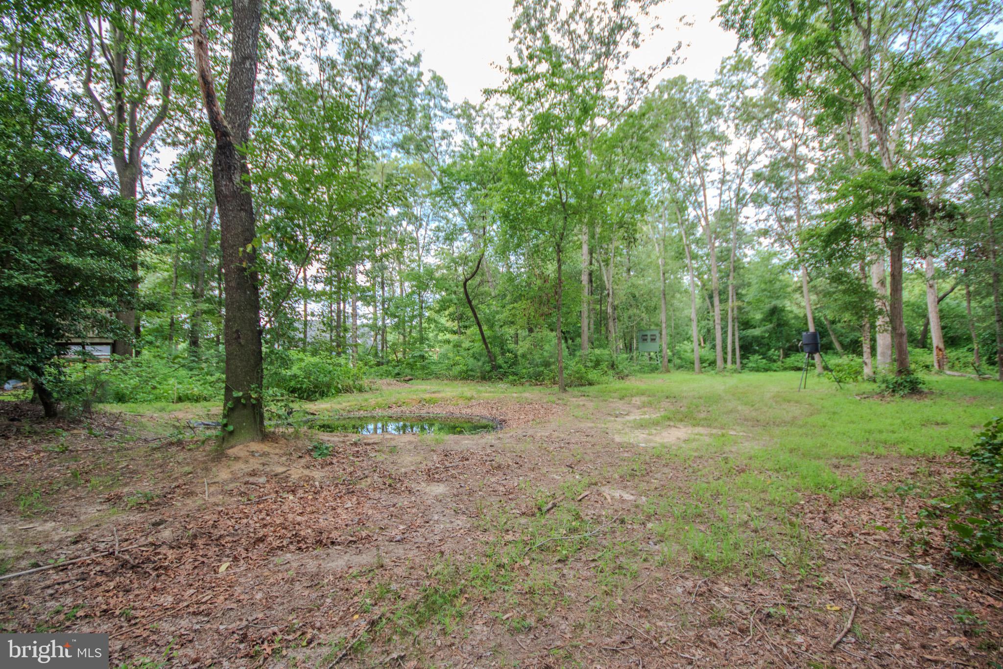 4856 Skinners Run Road Hurlock, MD 21643 - Photo 49 of 52 Gallery Image 49