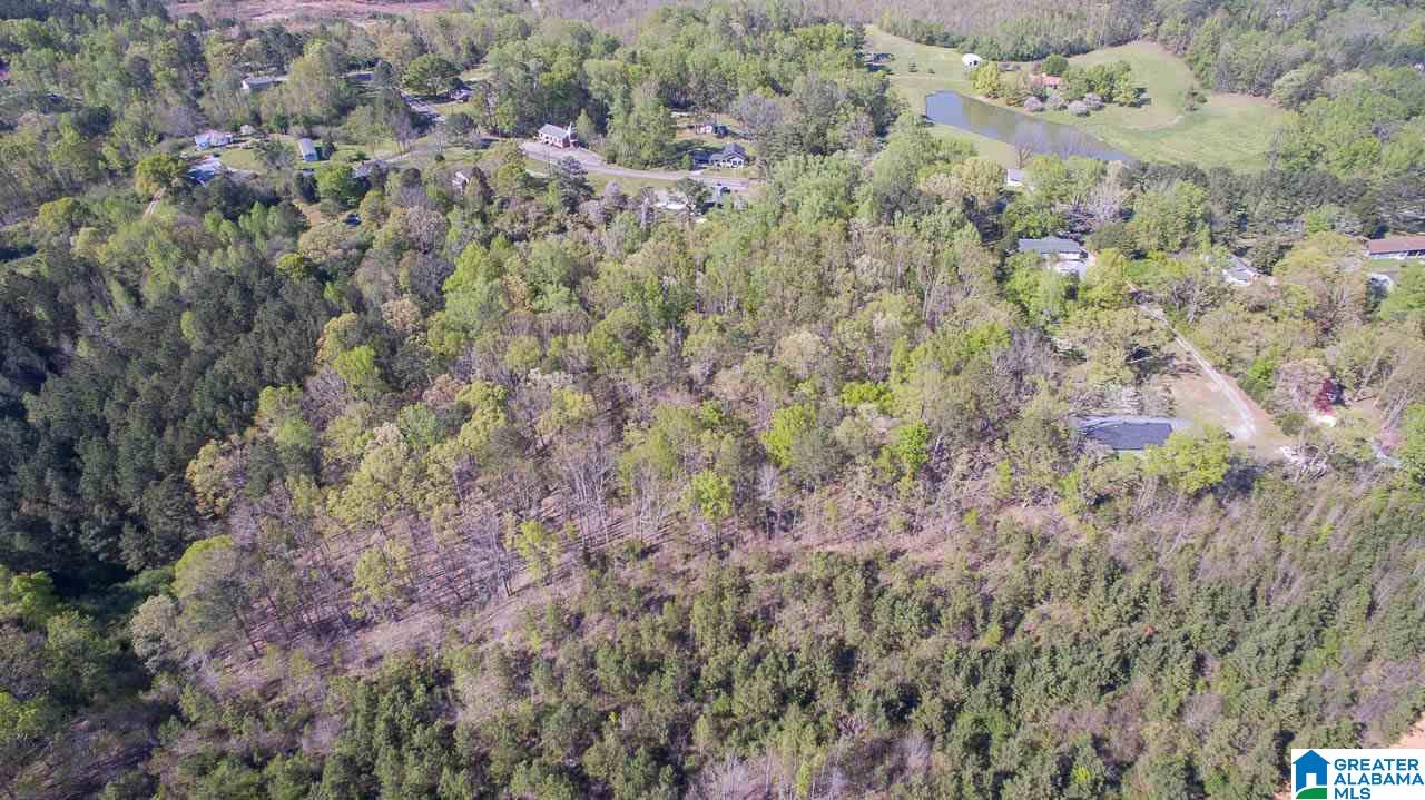 7037 Highway 10 Montevallo Al Montevallo, AL 35115 - Photo 31 of 35