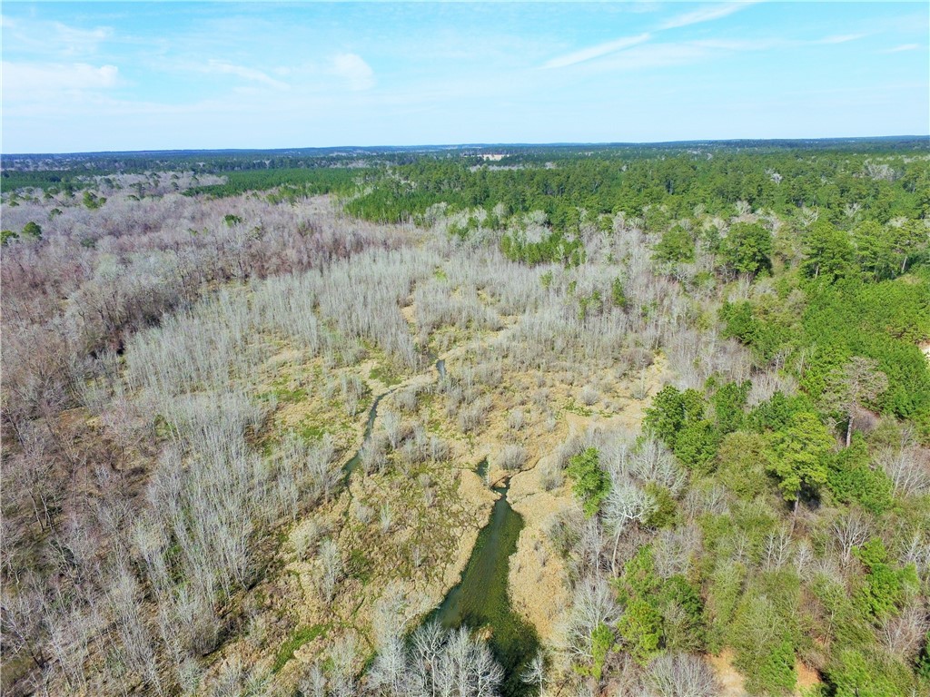 a view of a field with an ocean