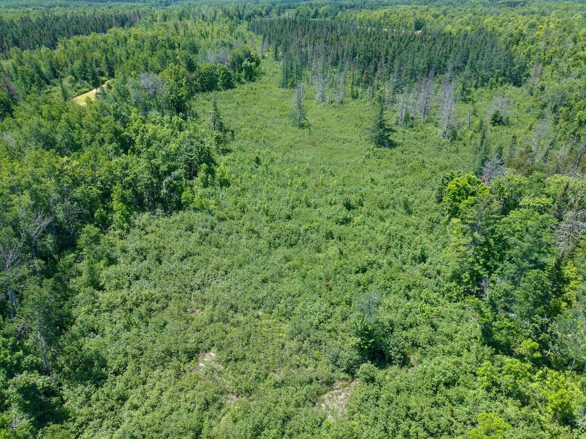 89225 Little Oak Lake Road Kerrick, MN 55756 - Photo 29 of 33