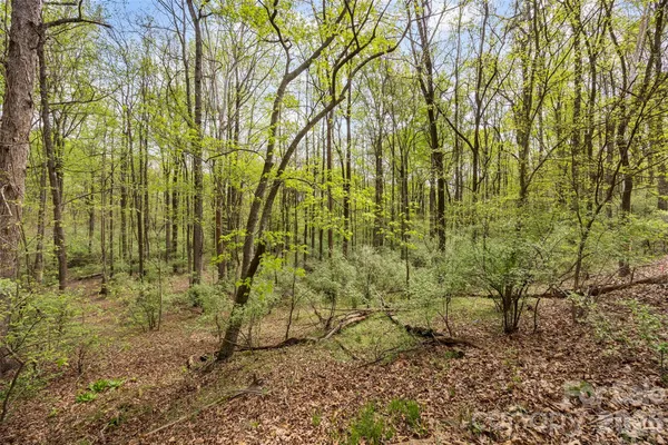 $2,935,100 | 10601 Wildlife Road, Charlotte, NC 28278