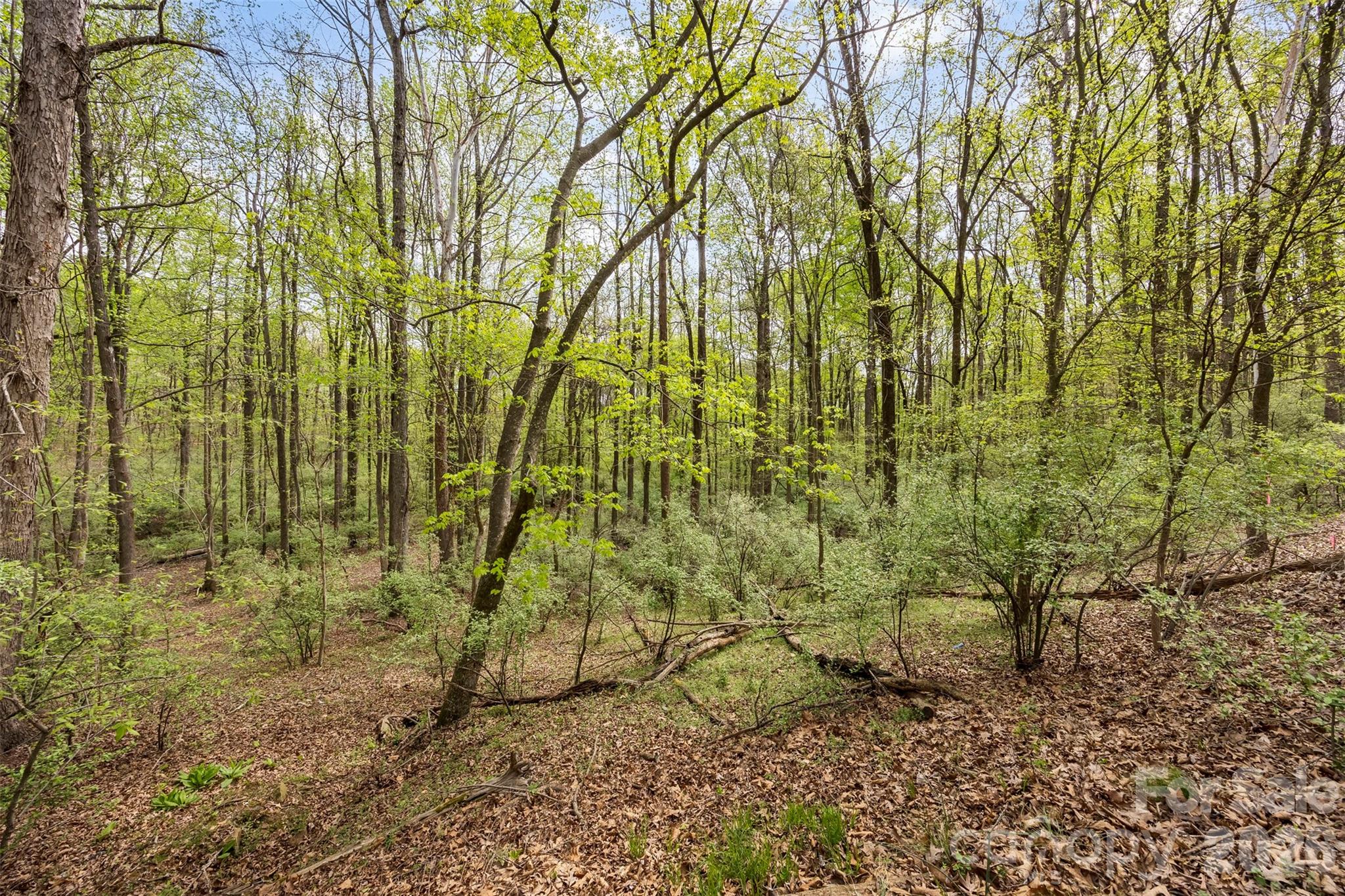 10601 Wildlife Road Charlotte, NC 28278 - Photo 8 of 29