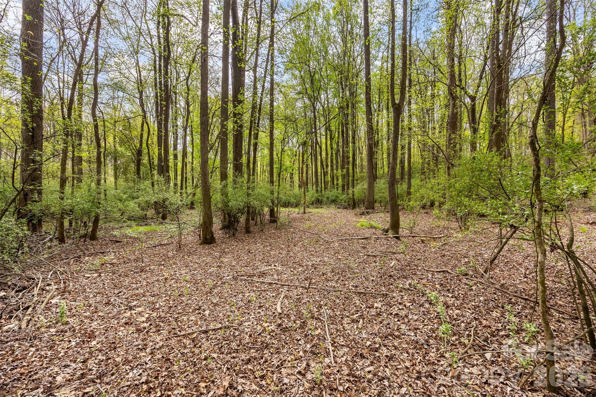 10601 Wildlife Road Charlotte, NC 28278 - Photo 9 of 29