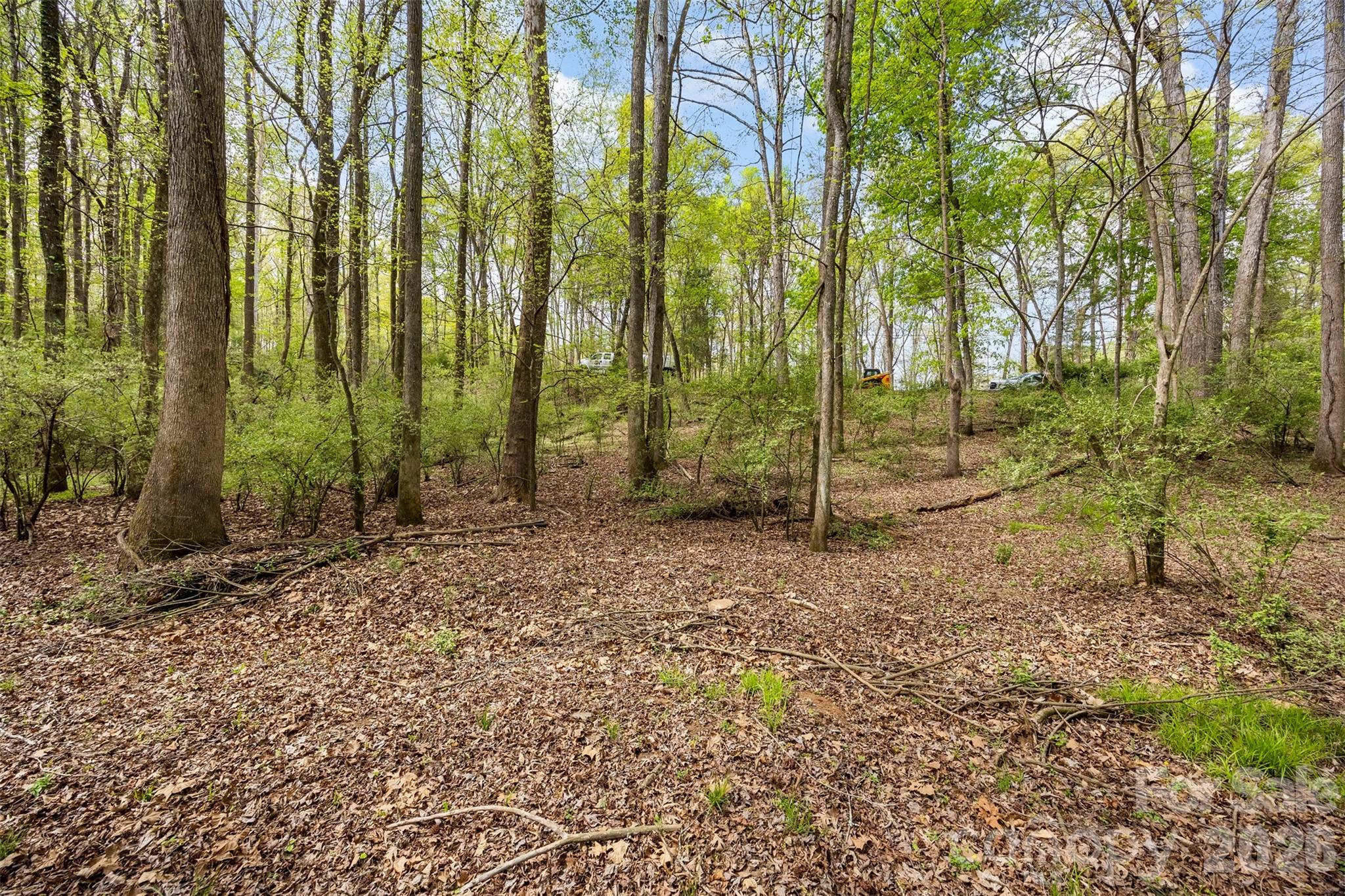 10601 Wildlife Road Charlotte, NC 28278 - Photo 10 of 29 a view of outdoor space with trees