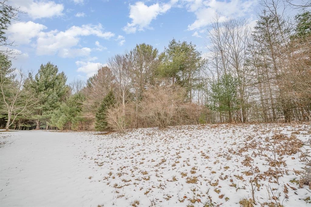 Vl North Vandecar Road Farwell, MI 48622 - Photo 5 of 11