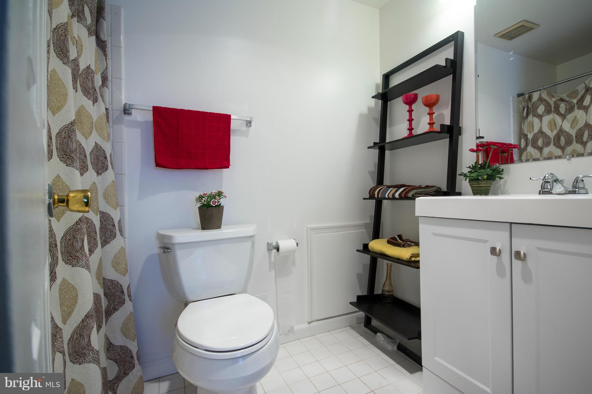 12701 Turquoise Terrace Silver Spring, MD 20904 - Photo 20 of 27 Bath (Master)