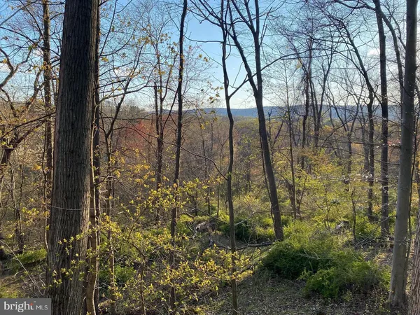 a view of a lake with a mountain