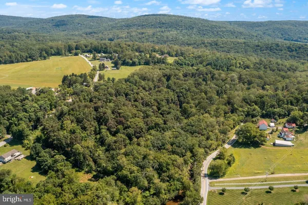 a view of a yard with trees