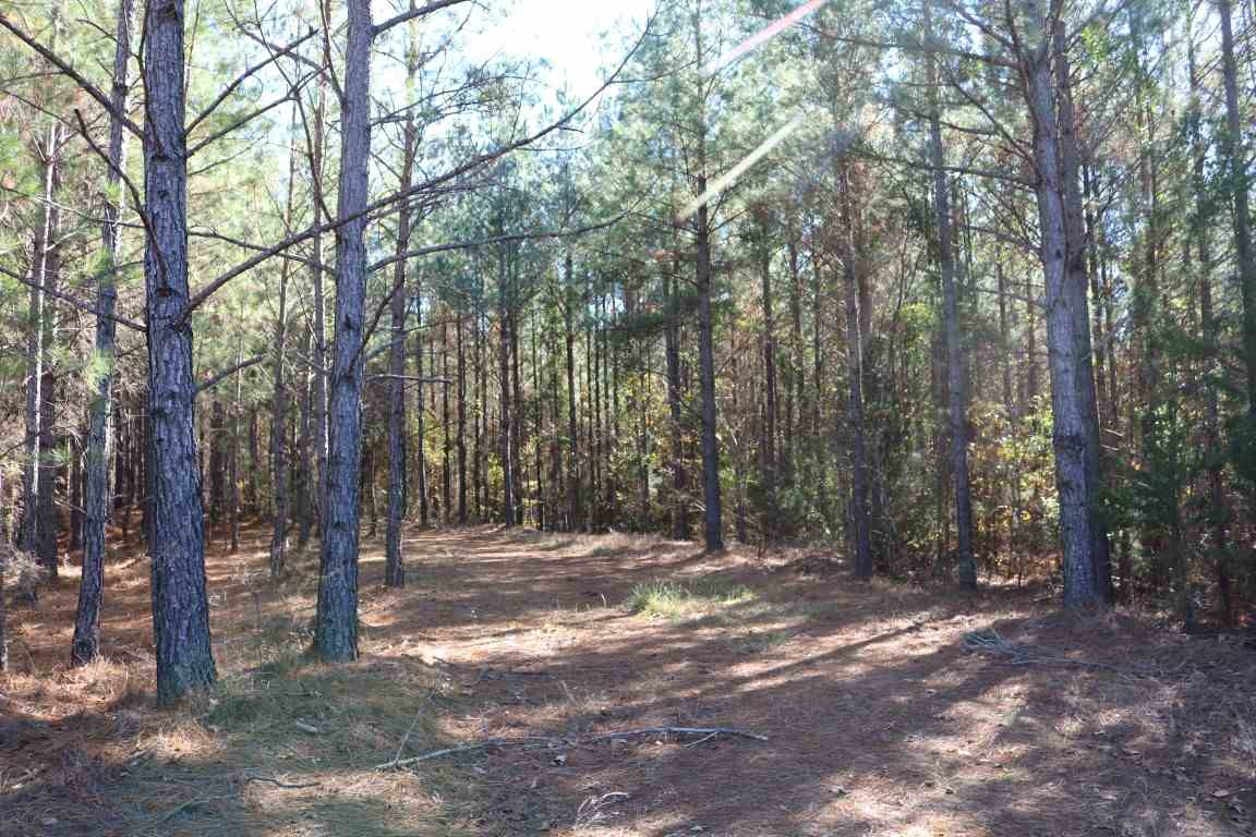 5015 Attala Road Ethel, MS 39067 - Photo 34 of 39 Photo 34