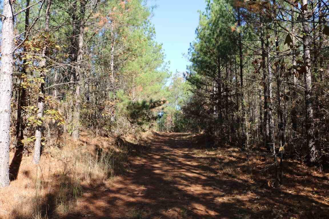 5015 Attala Road Ethel, MS 39067 - Photo 4 of 39 Photo 4