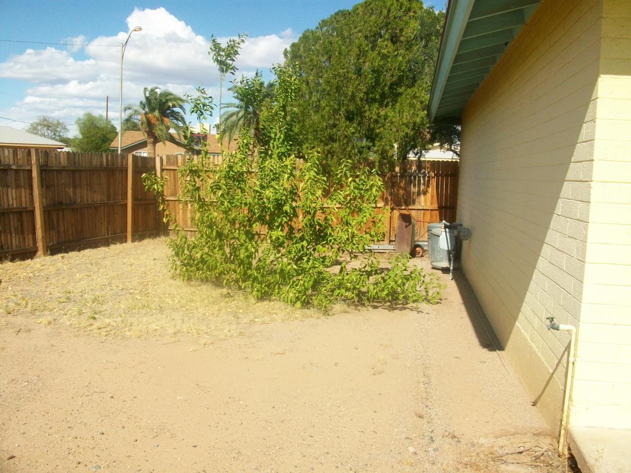 3209 West Calavar Road Phoenix, AZ 85053 - Photo 7 of 10 backyard