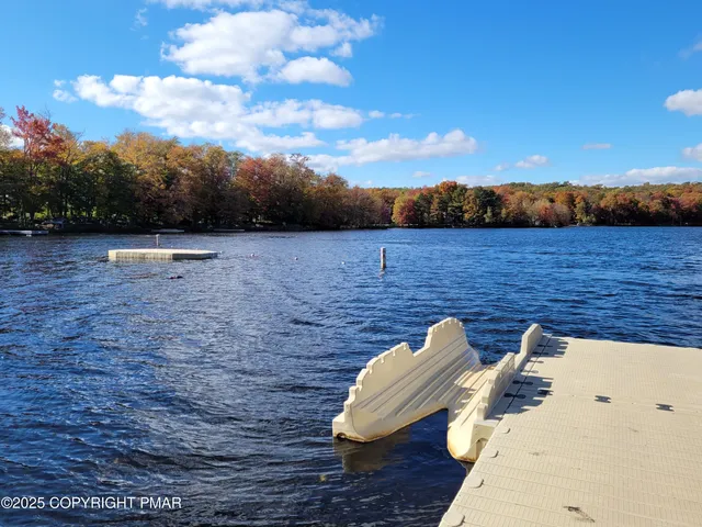 a view of road with large trees