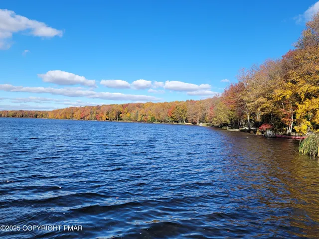 a view of outdoor space with green field and trees