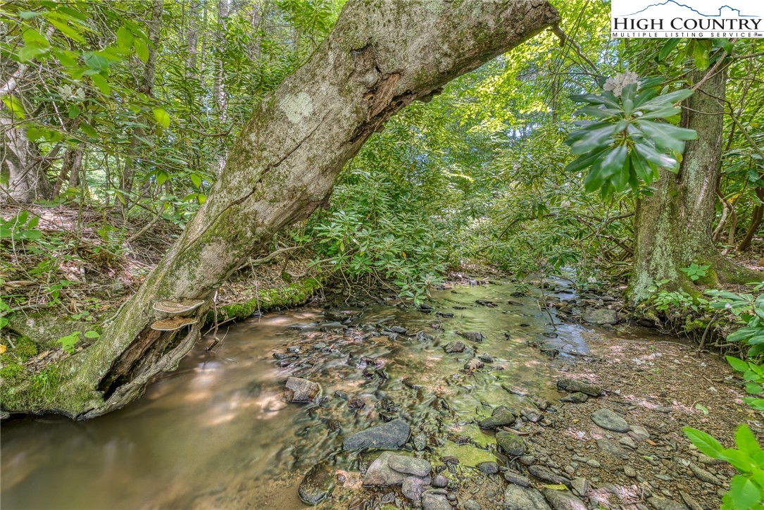 3606 Beaver Dam Road Vilas, NC 28692 - Photo 47 of 50 Gallery Image 47