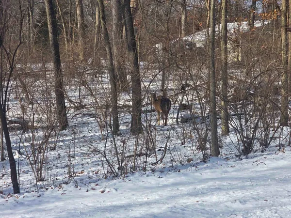 $7,500 | 916 Missouri Drive, Dixon, IL 61021