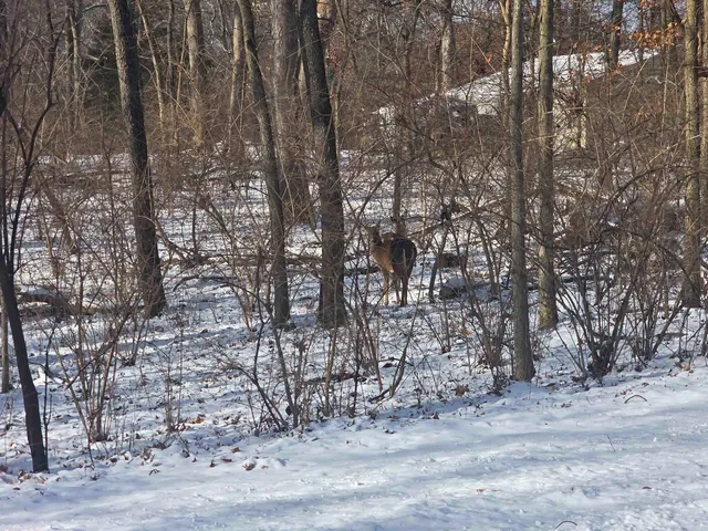 $10,000 | 916 Missouri Drive, Dixon, IL 61021