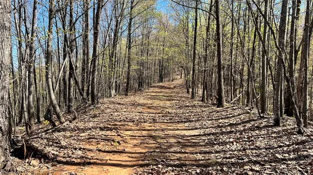 $7,850,000 | Tbd Eagle Heights Circle, Lenoir, NC 28645