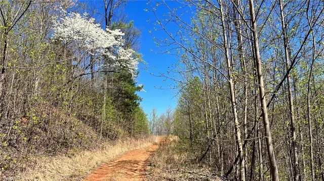 $7,850,000 | Tbd Eagle Heights Circle, Lenoir, NC 28645