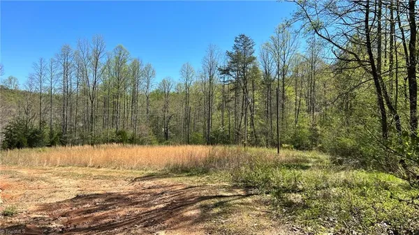 $7,850,000 | Tbd Eagle Heights Circle, Lenoir, NC 28645